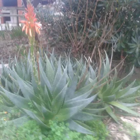 Apartmán Sea Wiev Anita Apartment Mali Lošinj