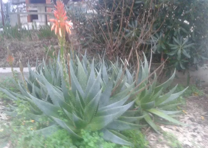 Apartamento Sea Wiev Anita Mali Lošinj